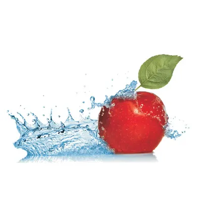 CHŁODNICTWO RADOMSKO